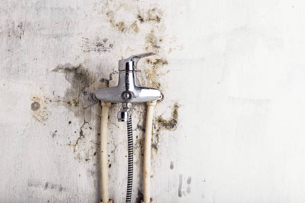 Best Bathroom Mold Remediation in Norman, OK