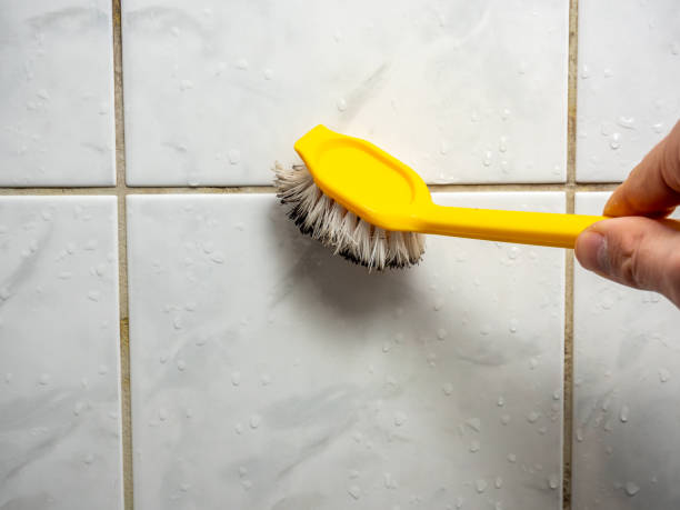 Best Emergency Mold Remediation in Norman, OK