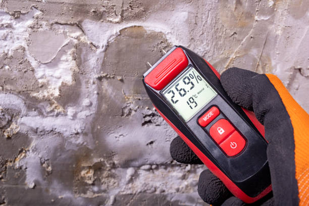 Best Localized Mold Remediation (e.g., coastal areas, humid climates) in Norman, OK
