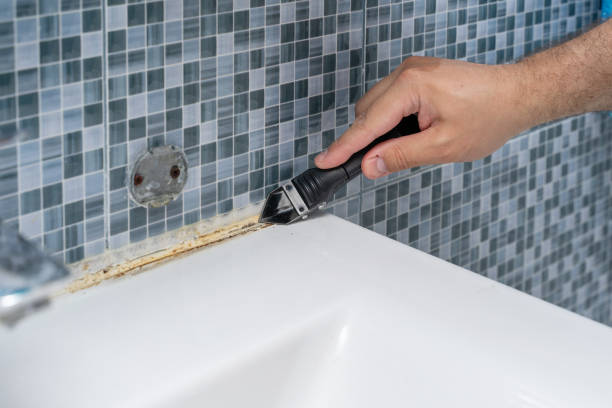 Best Bathroom Mold Remediation in Norman, OK