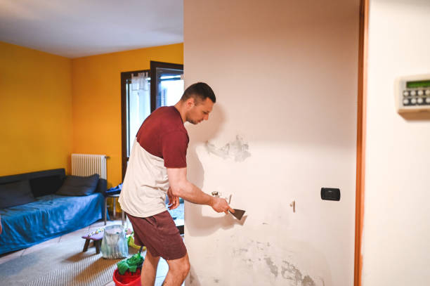 Best Kitchen Mold Remediation in Norman, OK