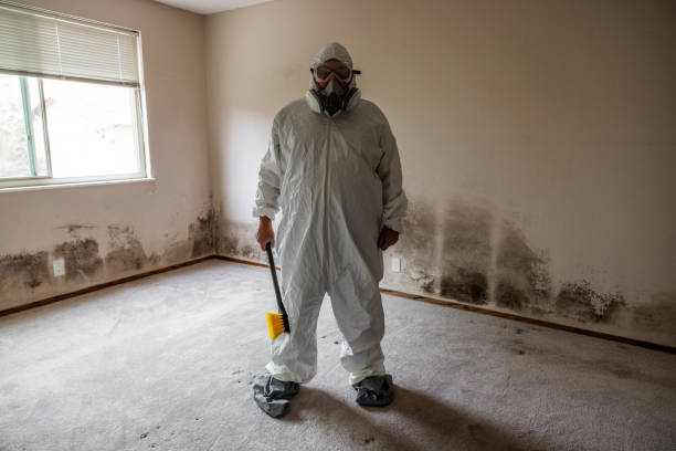 Best Mold Remediation for Specific Building Types in Norman, OK